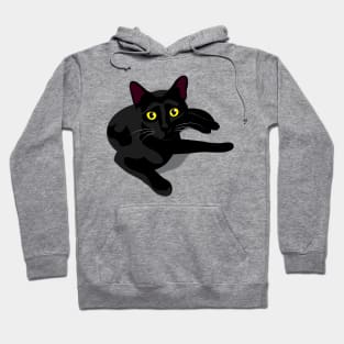 My Black Cat Hoodie